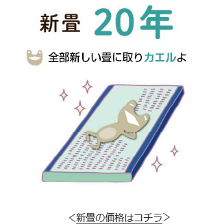 新畳20年