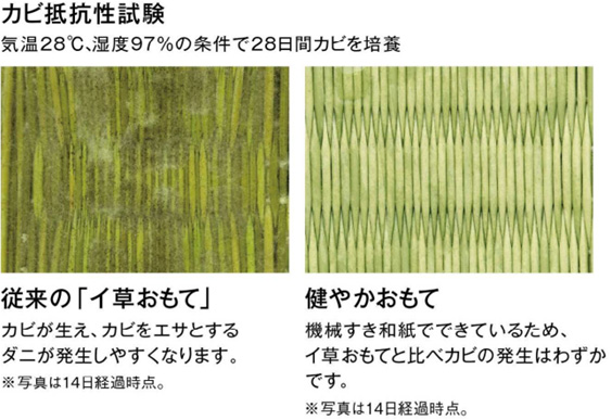 カビ抵抗性試験 従来のイ草おもて カビが生えダニが発生 健やかおもて カビの発生がわずか